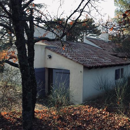 La Maison De Mado Et Sa Cabane Dans Les Arbres Plan d'Aups Eksteriør billede