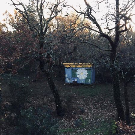 La Maison De Mado Et Sa Cabane Dans Les Arbres Plan d'Aups Eksteriør billede