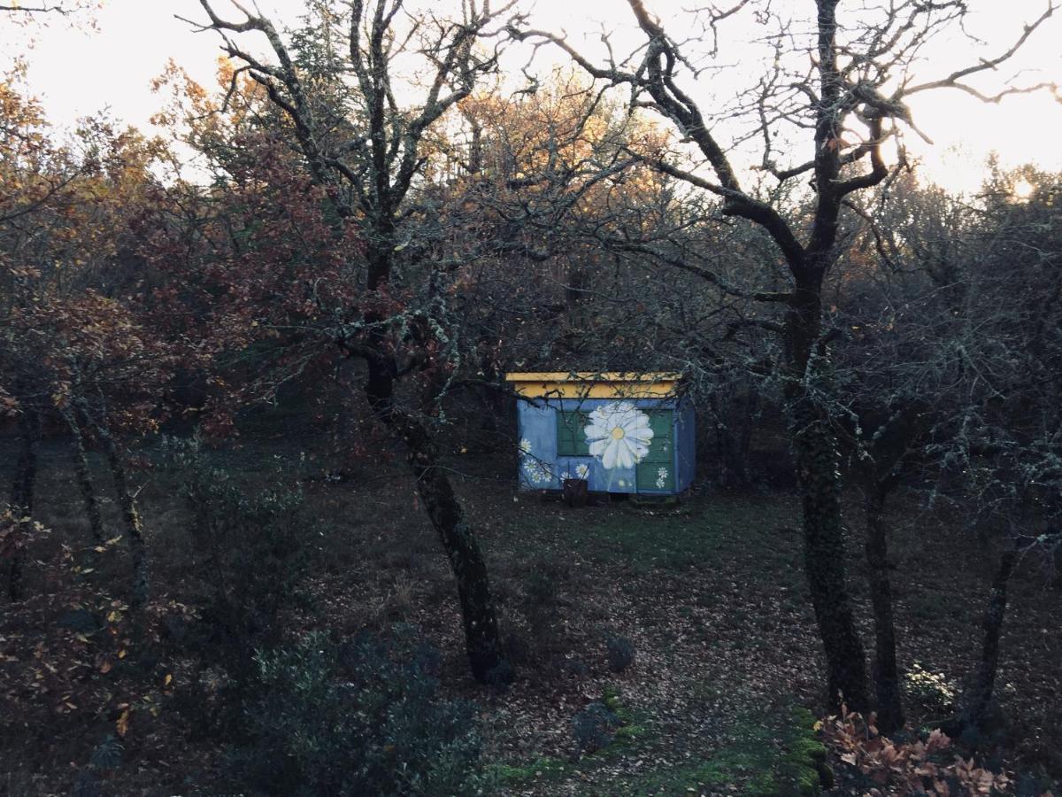 La Maison De Mado Et Sa Cabane Dans Les Arbres Plan d'Aups Eksteriør billede