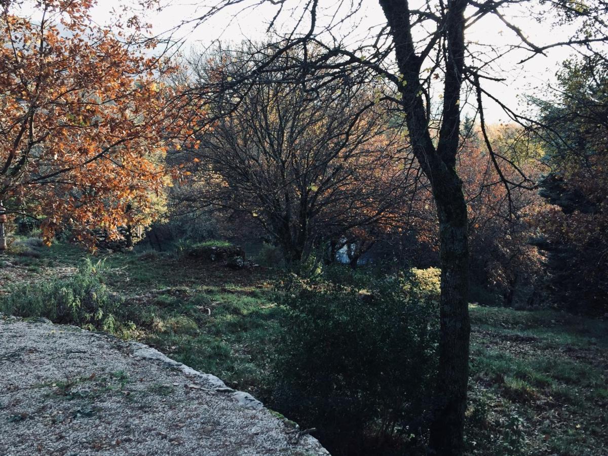 La Maison De Mado Et Sa Cabane Dans Les Arbres Plan d'Aups Eksteriør billede