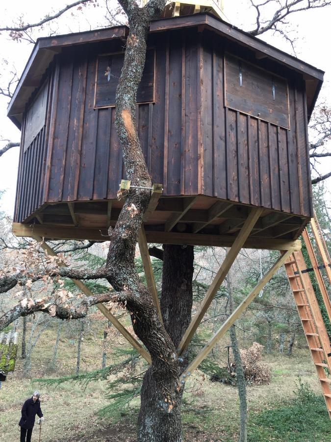 La Maison De Mado Et Sa Cabane Dans Les Arbres Plan d'Aups Eksteriør billede